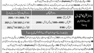 Punjab University MA MSc Private Registration 2025 Form Fees