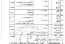 Airport Security Force Jobs October 2025