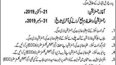 PEC 8th Class Registration Form 2025