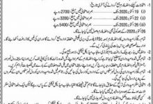 Punjab Medical Faculty PMF Lahore Admission Form 2025