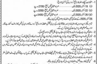 Punjab Medical Faculty PMF Lahore Admission Form 2022