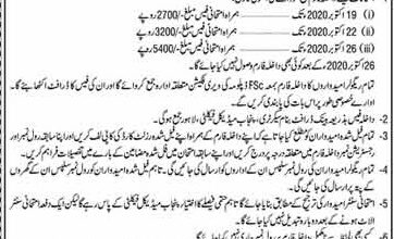 Punjab Medical Faculty PMF Lahore Admission Form 2025