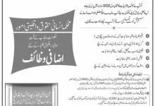 PEEF Special Quota Scholarship 2026