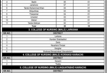 Directorate of Nursing Sindh Karachi Admission 2025 NTS