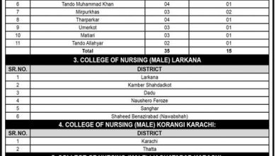 Directorate of Nursing Sindh Karachi Admission 2025 NTS