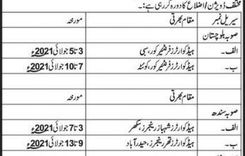Punjab Rangers Soldier Jobs 2025 Application Form