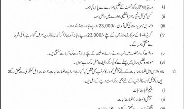 PEEF Scholarship For AJK Students 2025-2021
