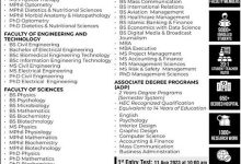 The University Of Faisalabad Admissions 2025