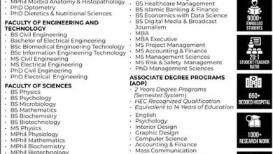The University Of Faisalabad Admissions 2025