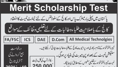 Pakistan Talent Olympiad Scholarship 2025 KPK Apply Online 4 Pakistan Talent Olympiad Scholarship 2025 KPK Apply Online