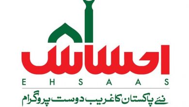 Ehsaas Program CNIC Check Online Registration 2025