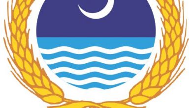 University of Agriculture Faisalabad UAF Merit List 2025