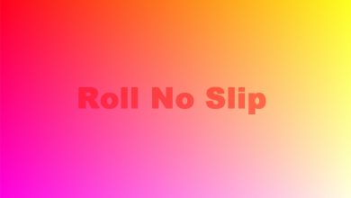 Lahore Board 12th Class Roll No Slip 2025 8 Lahore Board 12th Class Roll No Slip 2025