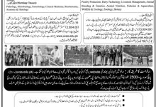 UVAS Mphil And Phd Admission 2025