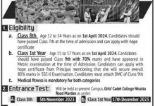Girls Cadet College Mardan Admission 2025 Last Date, Form