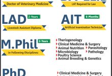 Riphah International University Lahore Admissions 2025