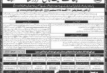 PAF College