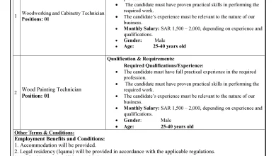 OEC Korea Jobs 2026 For Pakistani